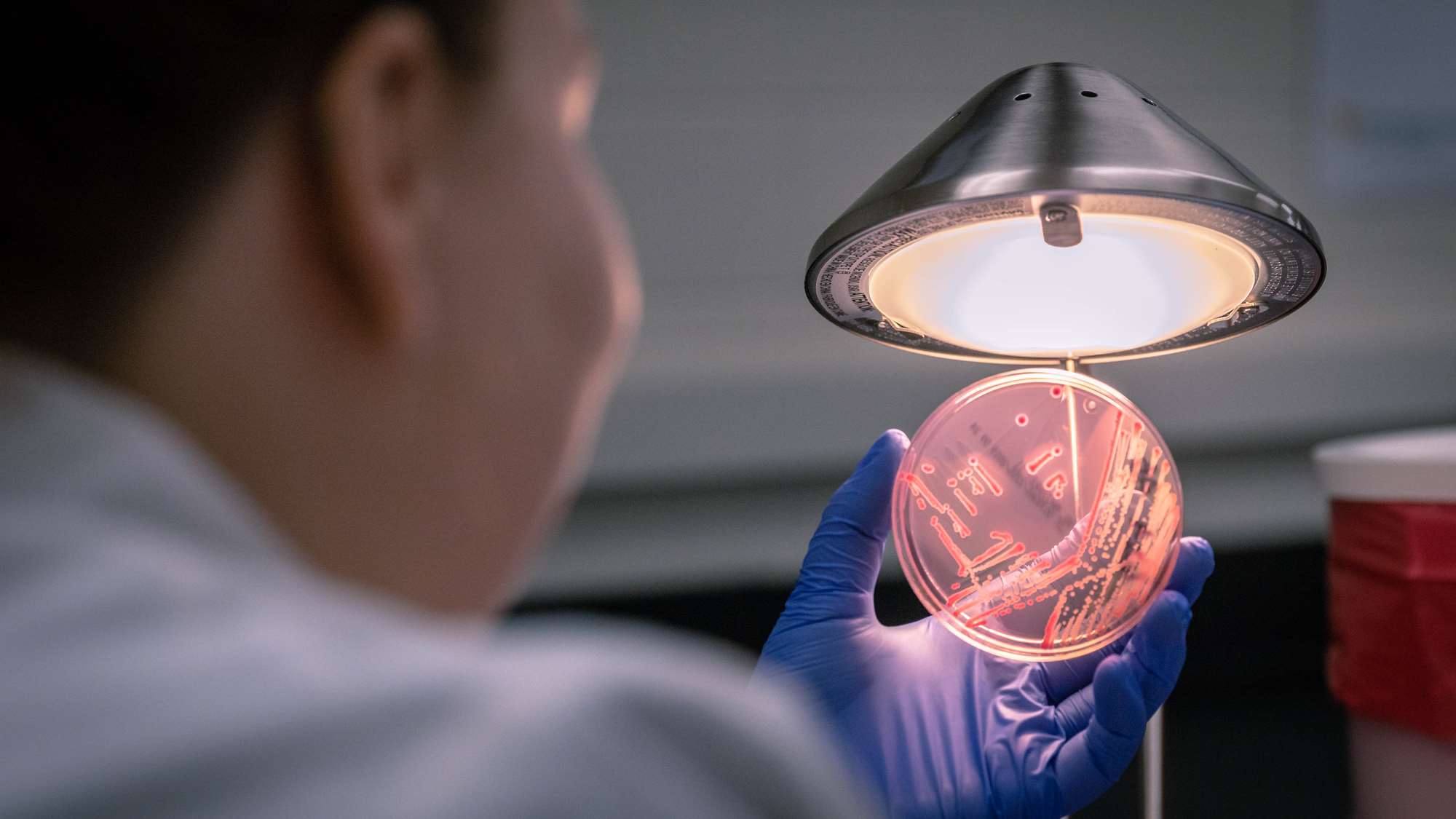 Student in research lab.