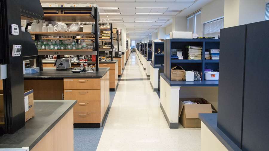Open lab space in  Erma Byrd Biomedical Research Center