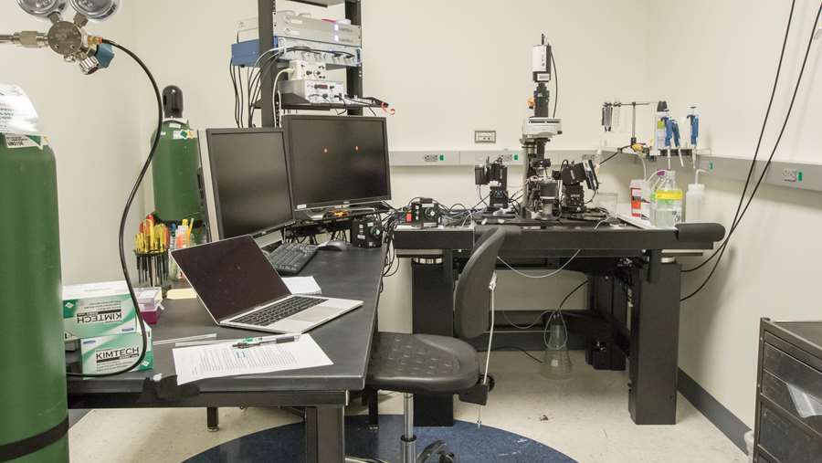 Microscope rig in Erma Byrd Biomedical Research Center
