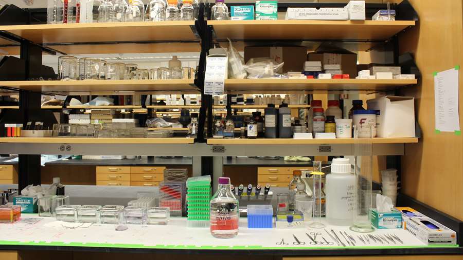 Lab supplies in Erma Byrd Biomedical Research Center