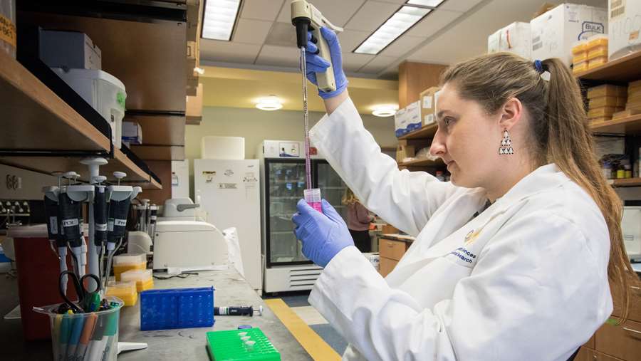 Neuroscience graduate student, Jessica Cunningham, working in the lab