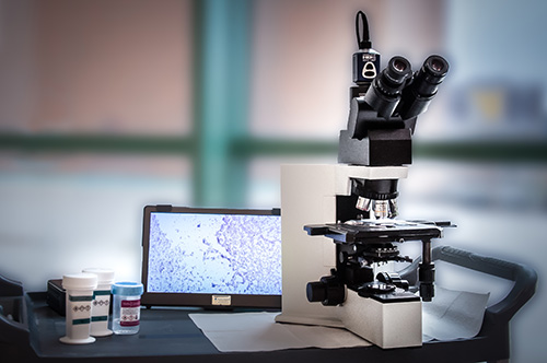 Our cytopathologists use a mobile telepathology system to remotely analyze live streaming microscopic video of specimens obtained during procedures.
