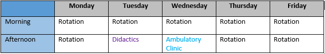 Sample rotation schedule for Hospice and Palliative Medicine Fellowship