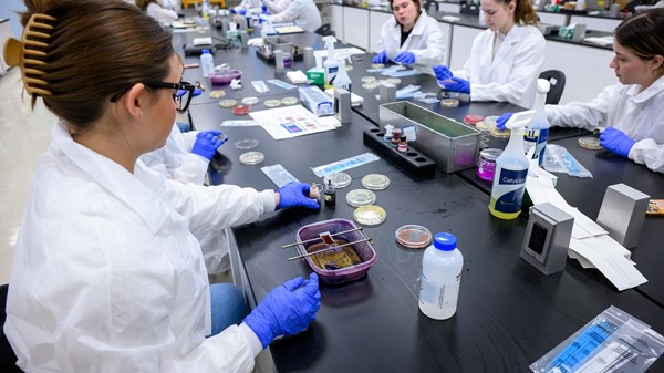 Student works in lab.