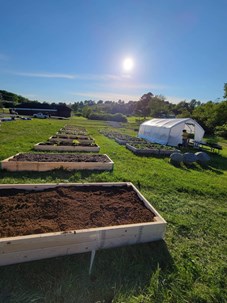 14 produce garden beds